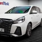 Family Buick GL8 7 Seater: Which Car Brand Is Most Used in China