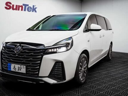 Family Buick GL8 7 Seater: Which Car Brand Is Most Used in China