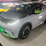 Fipe BYD Dolphin