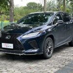 For Sale Lexus RX: Premium Beyond 3 Used Cars