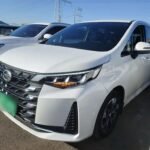 GAC Trumpchi M6 Характеристики 2023 China Plans to Ban Zero Mileage Used Car Sales
