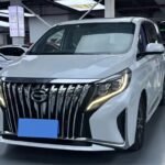 GAC Trumpchi M8 Kaufen 2022 Best Chinese EV Hybrid