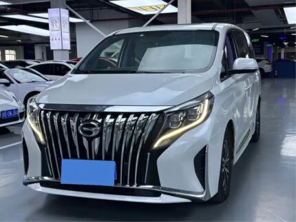 GAC Trumpchi M8 Kaufen 2022 Best Chinese EV Hybrid