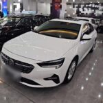 GNX Buick Regal via Chinese Automobile Companies