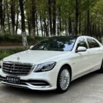 Iconic 2018 Mercedes Benz S Class Maybach S 650 - New Chinese EV Alternative