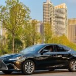 Import Lexus ES 2020 Petrol - Eautoexport