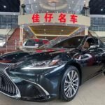 Import Lexus ES 2021 Hybrid - Eautoexport
