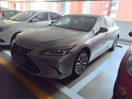 Import Lexus ES 2022 Petrol - Eautoexport
