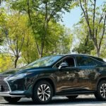 Import Lexus RX 2021: Eautoexport