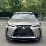 Import Lexus UX 2019 Hybrid: Eautoexport