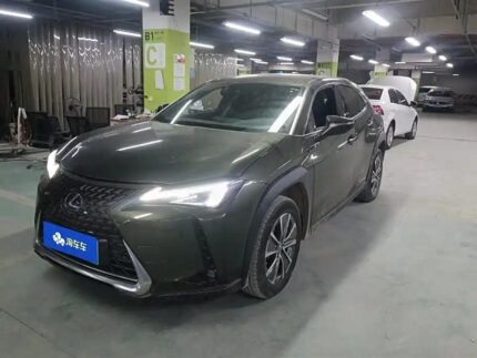 Import Lexus UX Electric: Eautoexport