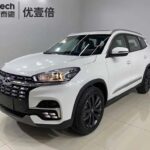 Import Your Used Tiggo 8 Easily