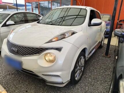 Infiniti ESQ 2016 China Car Rules
