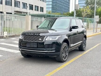 J Van Dreven Specialist in Land Rover Range Rover Jaguar: Top 5 Chinese EV Companies