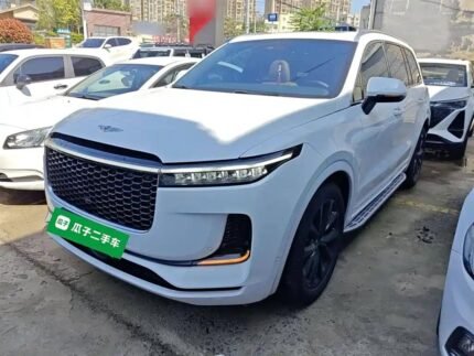 Jet Li in the One: Action Top 5 Chinese EV Companies