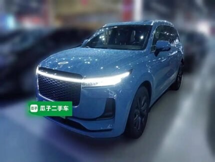 Jet Li One Movie: Thrilling Used EV Car China Rival