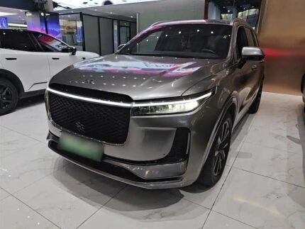 Jet Li One: Powerful Top Chinese EV Companies
