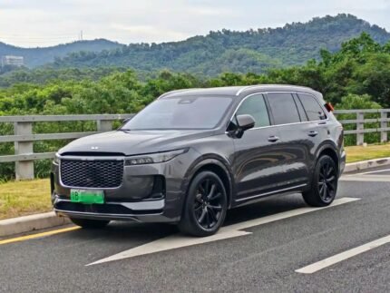 Jet Li the One Blu Ray: Clear Top Chinese EV Car Companies