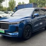 Jet Li the One Ending Song: Memorable Top Chinese EV Companies