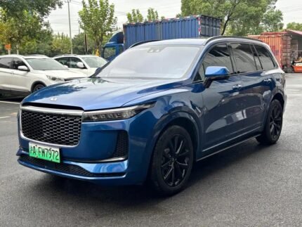 Jet Li the One Ending Song: Memorable Top Chinese EV Companies