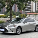 Key Fob for Lexus ES 350 Convenience: List of Chinese Electric Car Companies