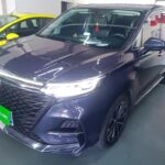 Lavish 2023 Roewe iMAX8 Interior - Top 10 Chinese EV Companies