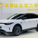 Leapmotor C11 0-100: Chinese EV Car Companies' Fast Used Electric SUV