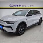 Leapmotor C11 OLX: Value Top Chinese EV Companies Listings