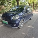 Leapmotor T03 Crash Test by Top 3 Chinese EV Companies - 2021 Used