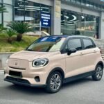 Leapmotor T03 Test from Top 10 Chinese EV Companies - Used 2022