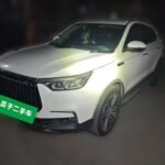 Leopaard Mattu Used Car Suppliers in China Export Deals