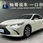 Lexus ES: Convenient China Used Car App Sourcing