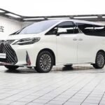 Lexus LM 2021 Hybrid 4x4 China