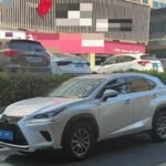 Lexus NX 200 Efficient: What Is the Most Used Car Brand in China