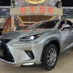 Lexus NX 2020 Hybrid: Buy from China