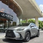 Lexus NX 2022 Plug-in Hybrid SUV