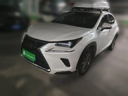 Lexus NX 350 F Sport Dynamic: Diverse Used Vehicles in China