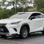 Lexus NX Cost Affordable Luxury: When Will Chinese Cars Be Sold in the US