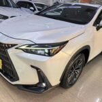 Lexus NX Dimensions Versatile: Where Does China Export Cars To Markets