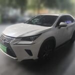 Lexus NX Hybrid Efficient: Diverse Chinese Cars Export