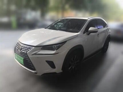 Lexus NX Hybrid Efficient: Diverse Chinese Cars Export