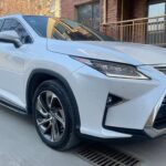 Lexus RX 2019 4x4: China Sales