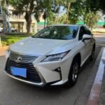 Lexus RX 2019 Petrol: China