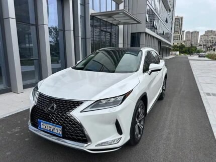 Lexus RX 2020 4x4: China Sales