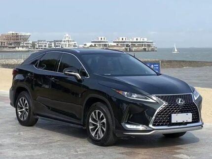Lexus RX 2020 Petrol: China Sales