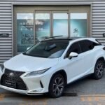 Lexus RX 2021 4x4: China Sales Now