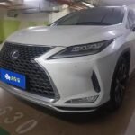 Lexus RX 2L Petrol 4WD: China Now