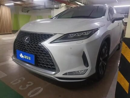 Lexus RX 2L Petrol 4WD: China Now