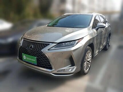 Lexus RX 350 SUV Versatility: Positive China Cars Review