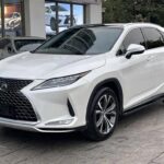 Lexus RX 450hL Extended: Top Chinese EV Car Companies